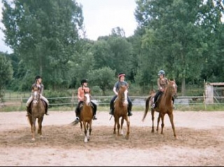  Equitación en el logotipo de 60